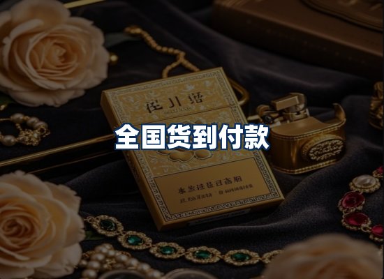 专业团队办公环境